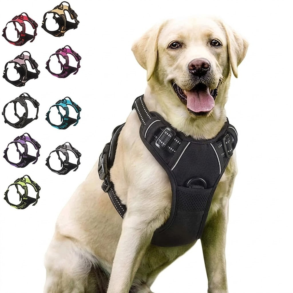 Dog Harness